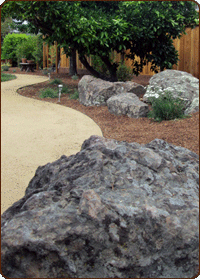 Low water, All Organic, Ecologically Responsible Garden Design Site